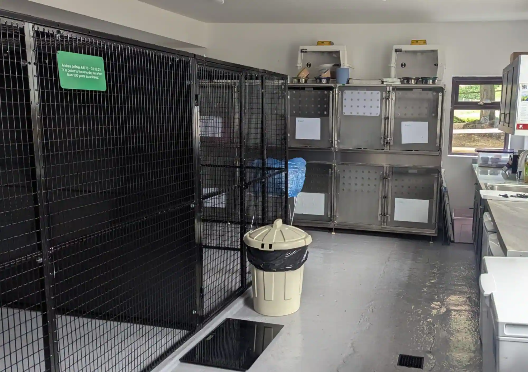 Fox in hospital care